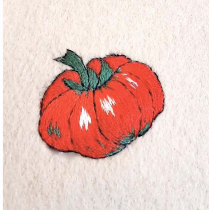 Kit de broderie feutrine : Belle tomate 1 fil mouliné