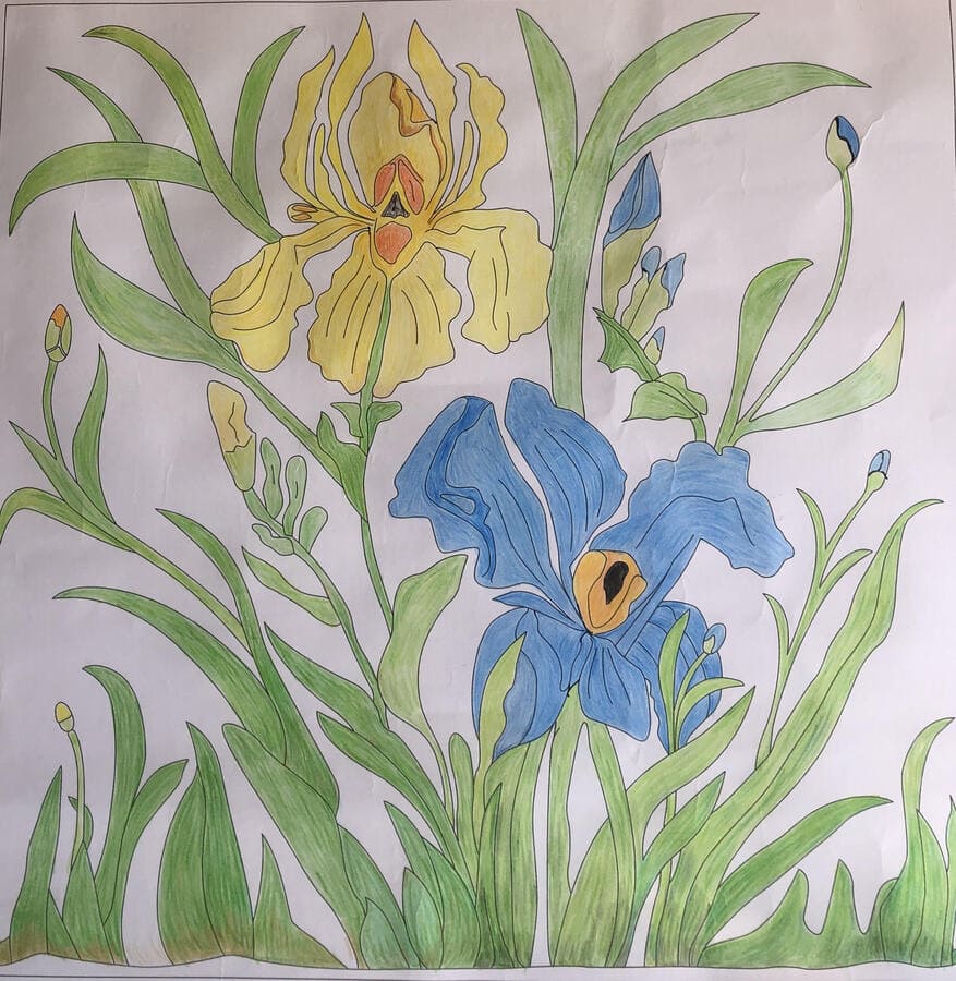 Boutis : Iris des marais (40 * 40 cm)  