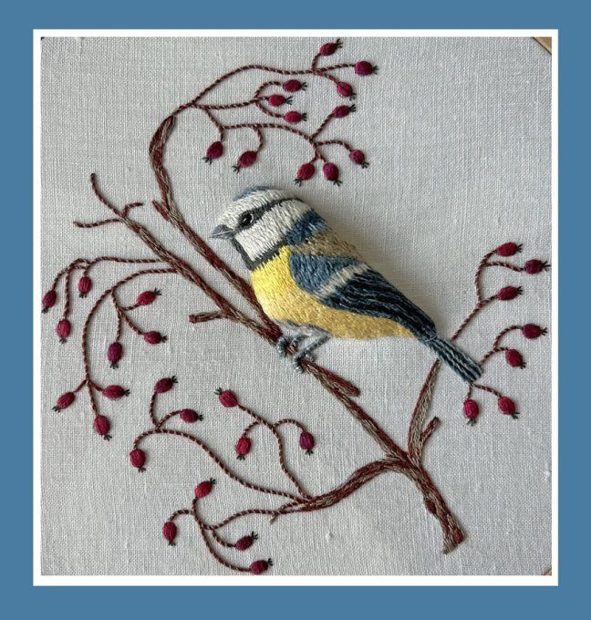 Kit de broderie traditionnelle : MESANGE BLEUE de Sophie Delhomme