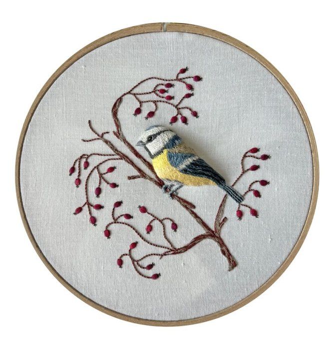 Kit de broderie traditionnelle : MESANGE BLEUE de Sophie Delhomme