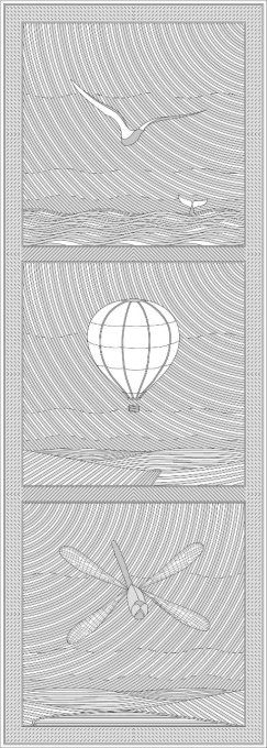 Oiseau vol AIR d'Hubert Valeri