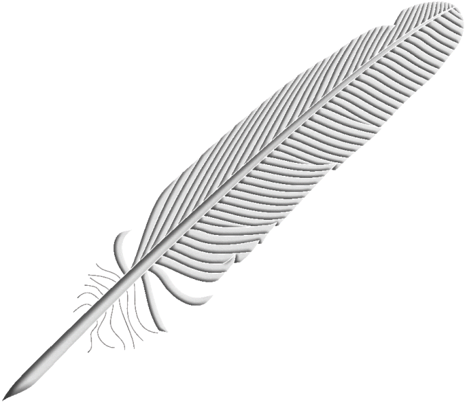Boutis : Plume d'oie(≈  5 x 26  cm ) d'Hubert Valeri