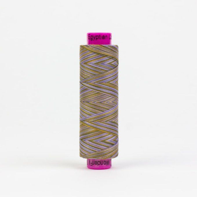 Fil TUTTI Coton Egyptien 200m SPRING