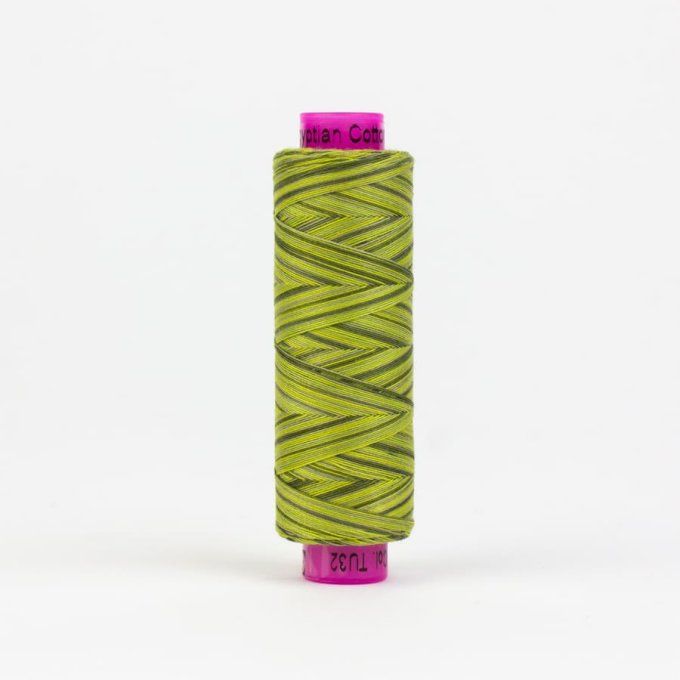 Fil TUTTI Coton Egyptien 200m MOSS